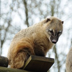 20150403-090804-053-N