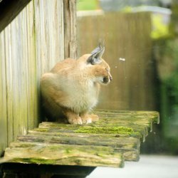 20150403-090837-054-N