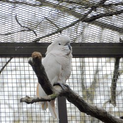 20150403-091100-055-N