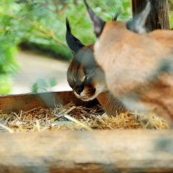 20150403-092753-064-N