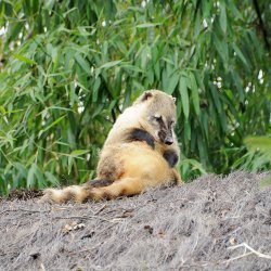 20150403-092808-065-N