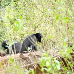 20150403-093411-071-N