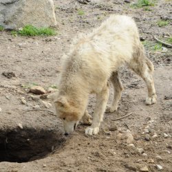 20150403-093556-072-N