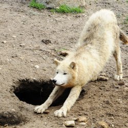 20150403-093605-073-N