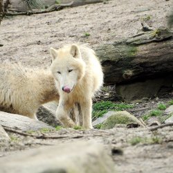 20150403-093700-078-N