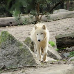 20150403-093703-079-N