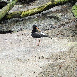 20150403-094111-081-N