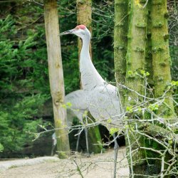 20150403-094117-082-N