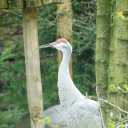 20150403-094121-083-N