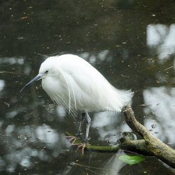 20150403-094133-086-N