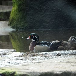 20150403-094149-089-N