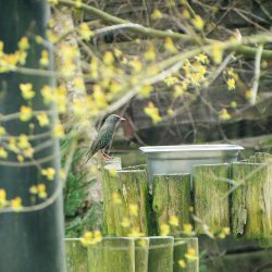 20150403-094208-092-N