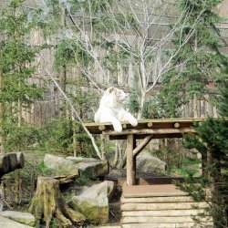 20150403-094308-098-N