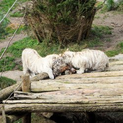 20150403-094429-103-N