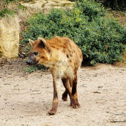 20150403-094908-111-N