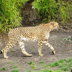 20150403-095040-114-N