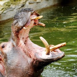 20150403-100035-128-N