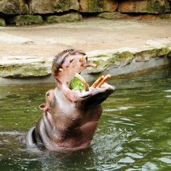 20150403-100053-131-N