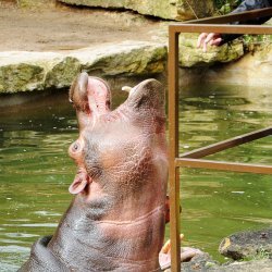 20150403-100204-139-N