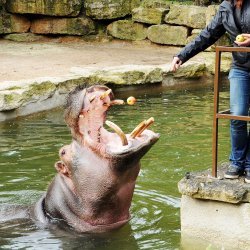 20150403-100637-147-N