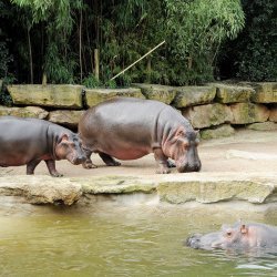 20150403-101854-152-N