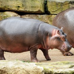 20150403-101859-153-N