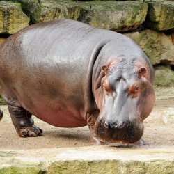 20150403-101904-154-N