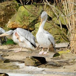 20150403-102251-159-N