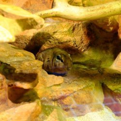 20150403-104845-180-N