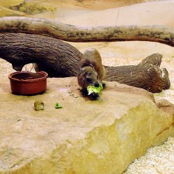 20150403-104910-182-N