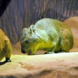 20150403-104958-191-N