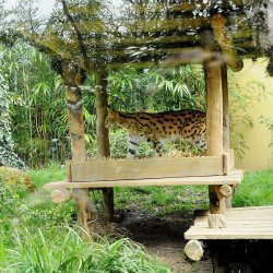 20150403-105425-200-N