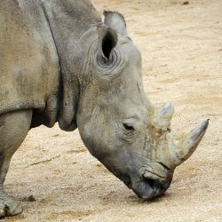 20150403-115517-216-N