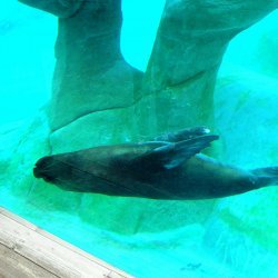 20150403-120413-217-N