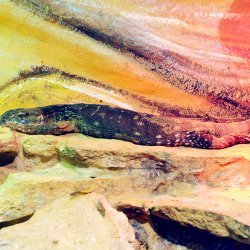 20150403-120713-221-N