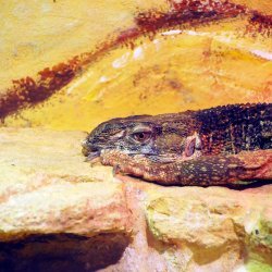 20150403-120716-222-N