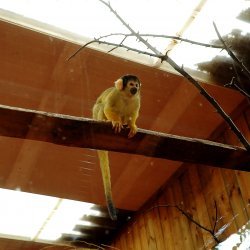 20150403-120926-227-N