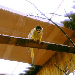 20150403-120927-228-N