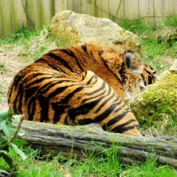 20150403-121818-244-N