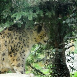 20150403-121919-249-N