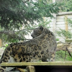 20150403-121931-252-N