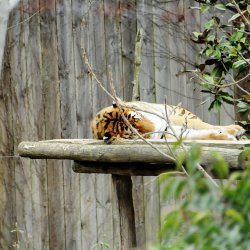 20150403-122436-264-N