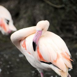 20150403-122525-269-N