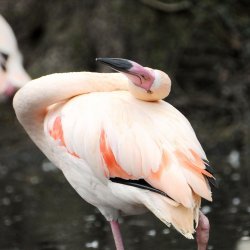 20150403-122526-271-N