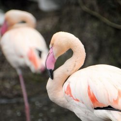 20150403-122528-272-N