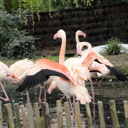 20150403-122547-274-N