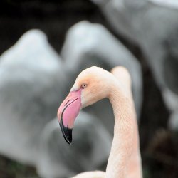 20150403-122552-275-N