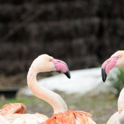 20150403-122556-276-N