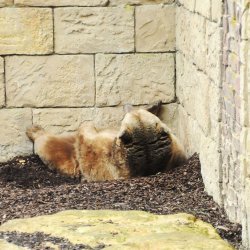 20150403-122631-277-N