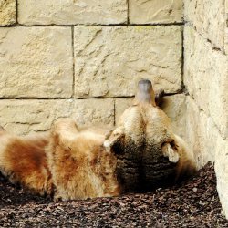 20150403-122637-278-N